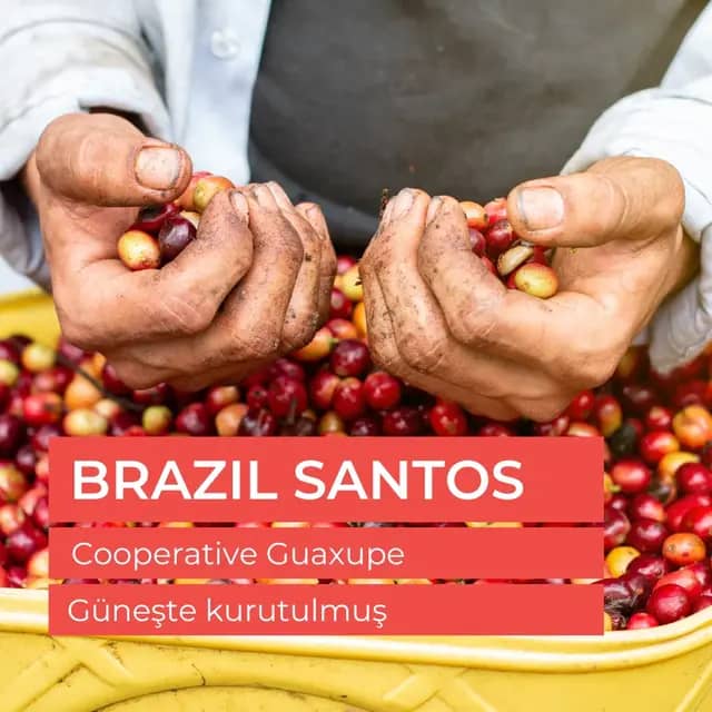 Brazil Santos Fine Cup Çiğ Yeşil Çekirdek 1kg