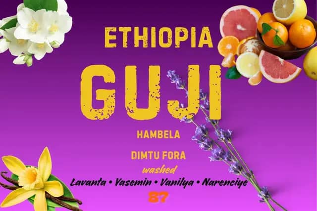 Ethiopia Guji