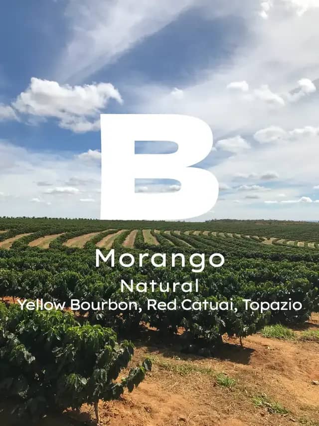 Brezilya Morango