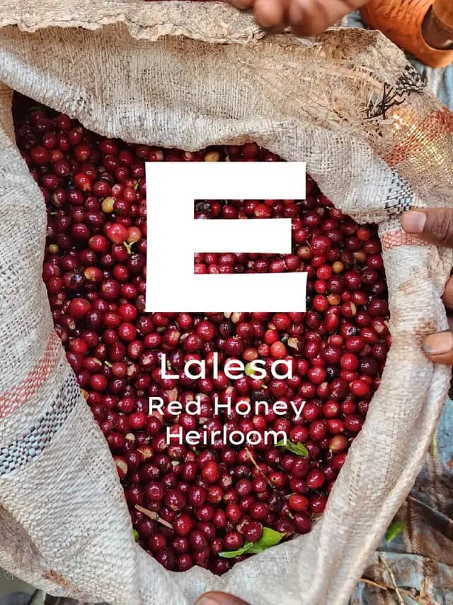Etiyopya Lalesa Red Honey