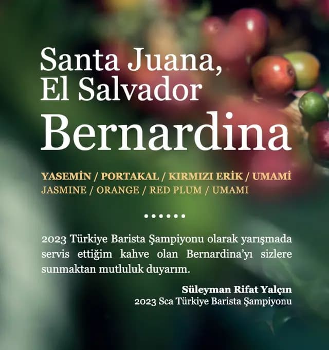 El Salvador Bernardina – 2023 SCA Turkey Barista Champion