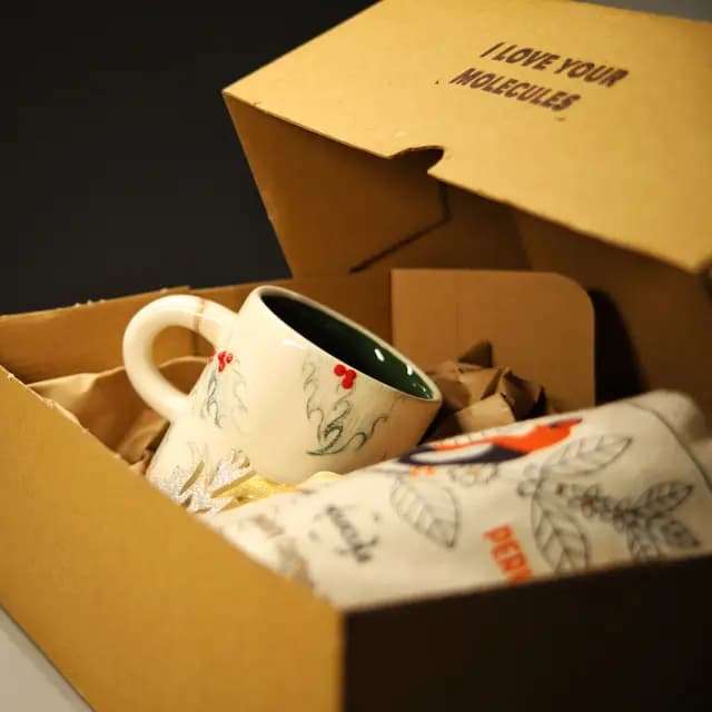 Yeni Yıl Set Mistletoe