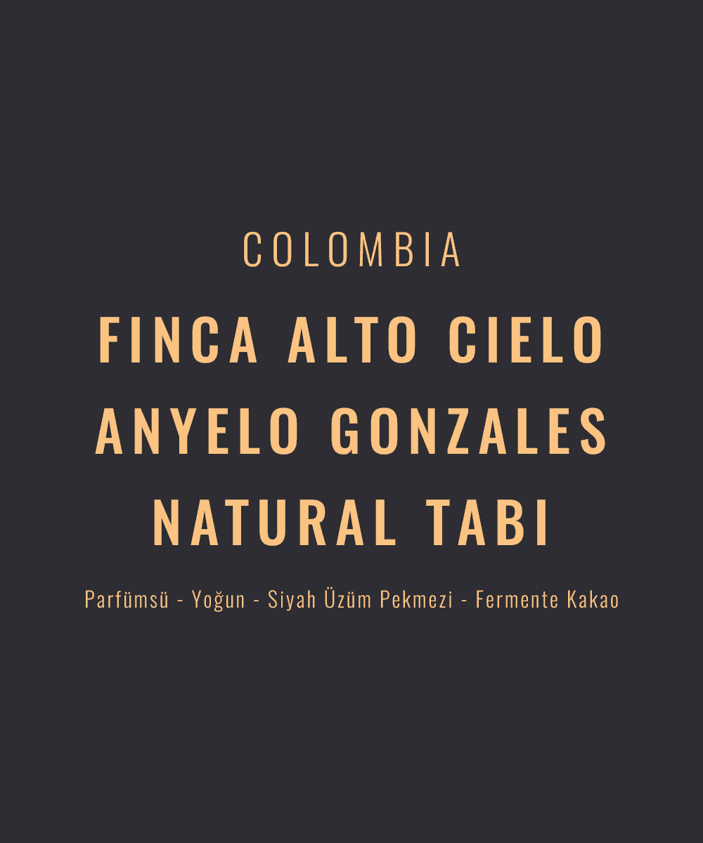 Colombia – Anyelo Gonzales Natural Tabi
