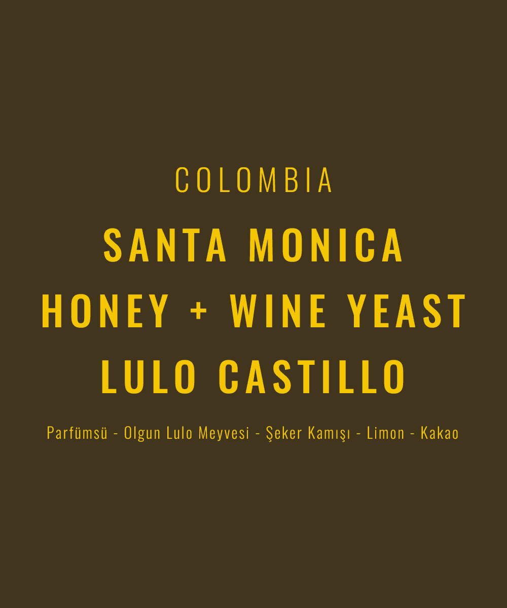 Colombia - Santa Monica Honey + Wine Yeast / Lulo