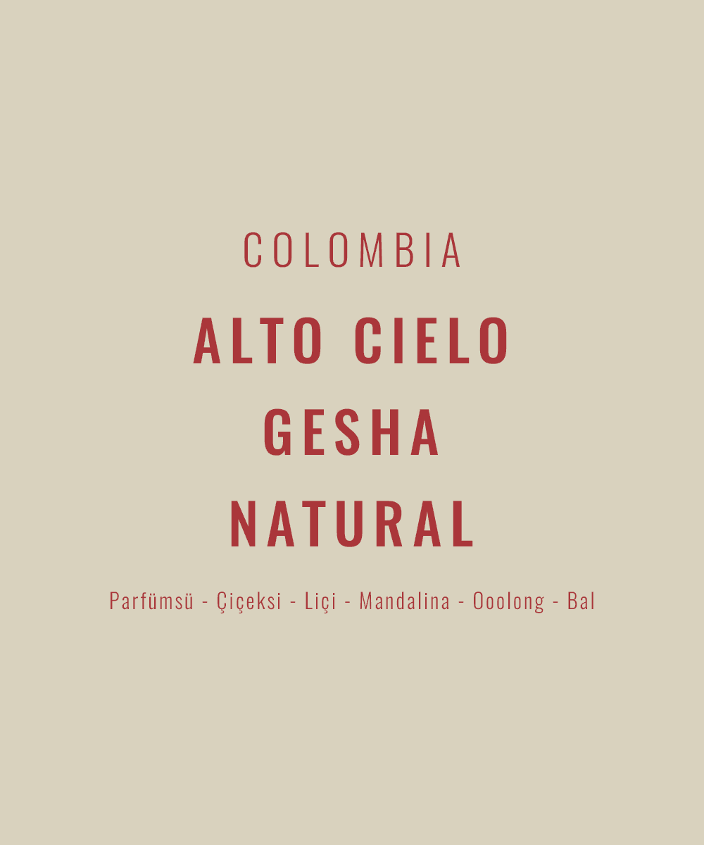 Colombia - Alto Cielo Gesha Natural