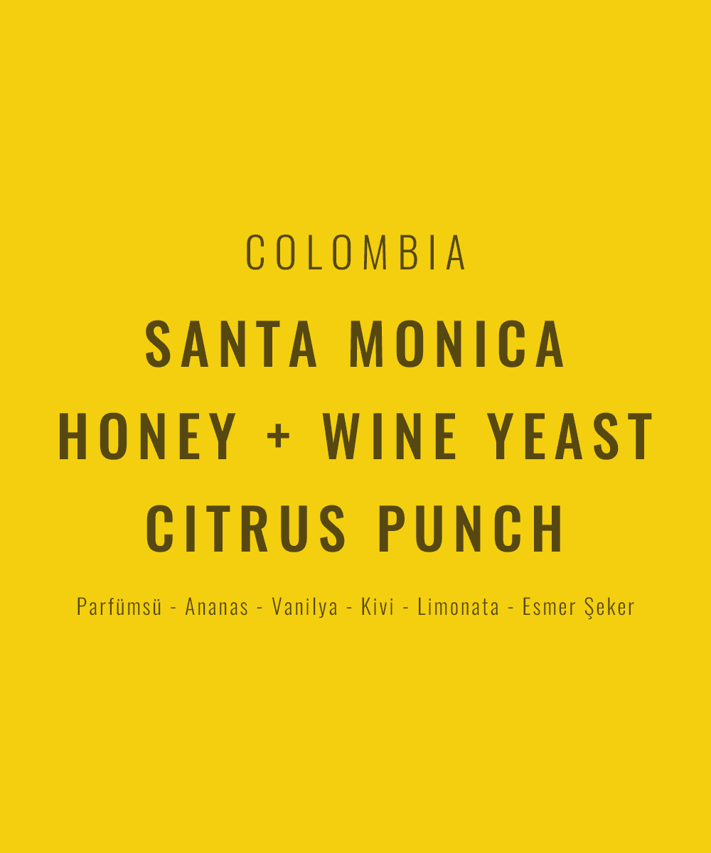 Colombia - Santa Monica Honey + Wine Yeast / Citrus Punch
