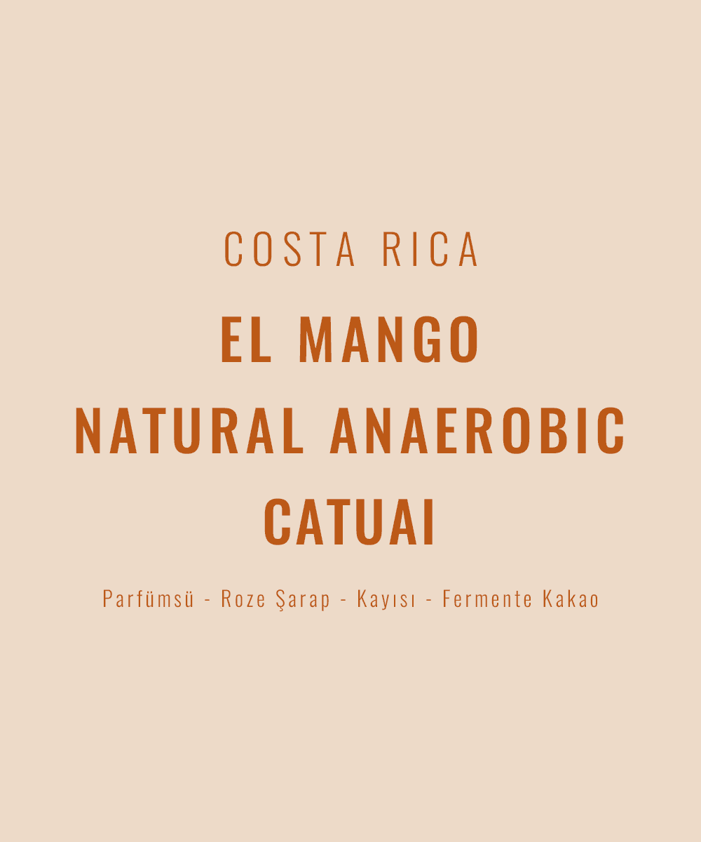 Costa Rica - El Mango Natural Anaerobic