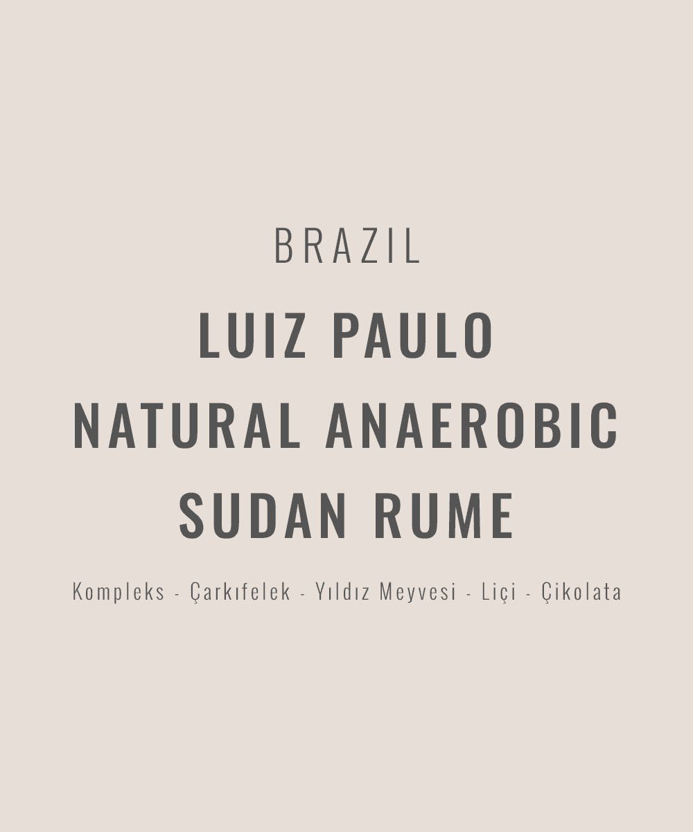 Brazil - Luiz Paulo Natural Anaerobic Sudan Rume