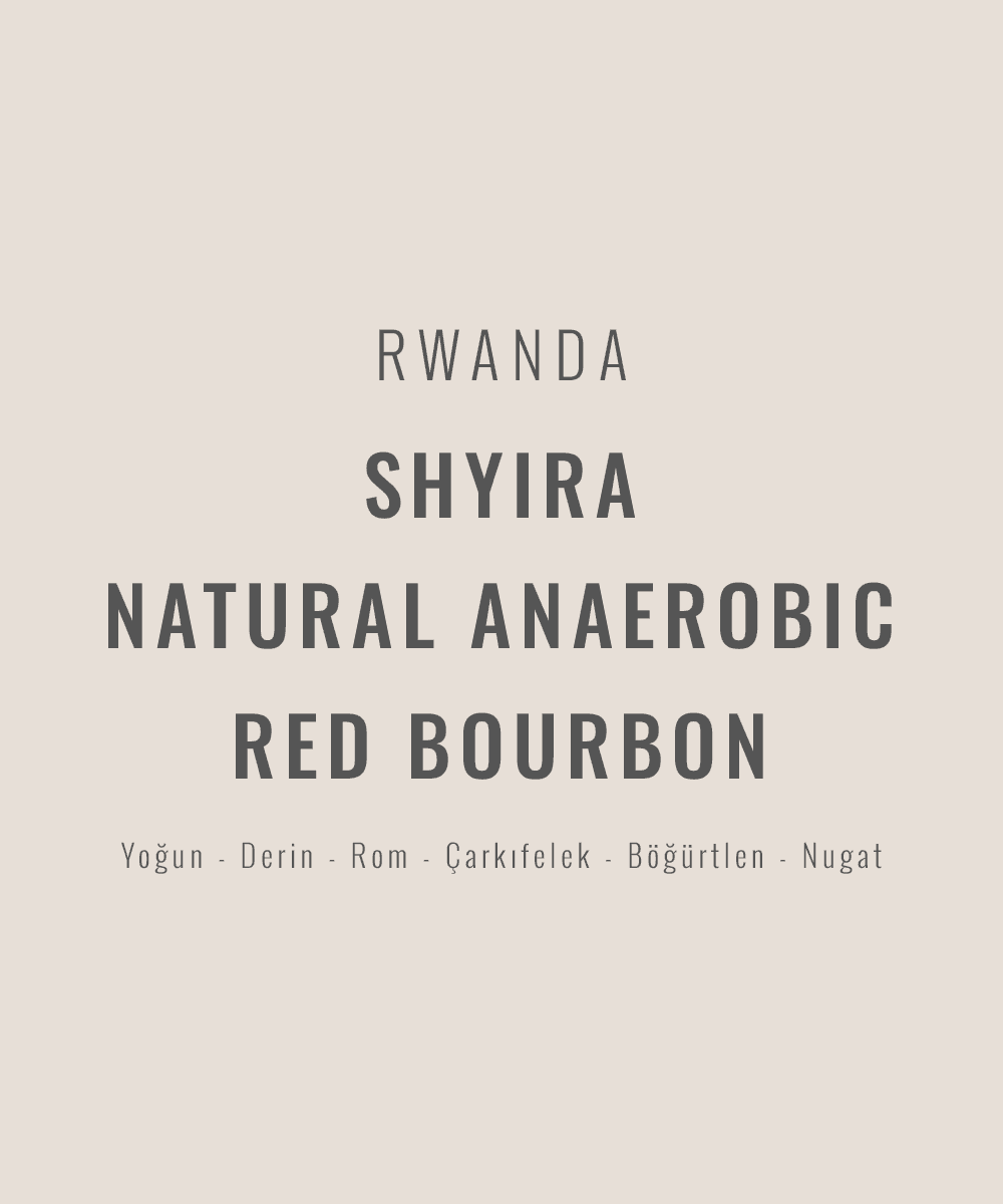 Rwanda - Shyira Natural Anaerobic