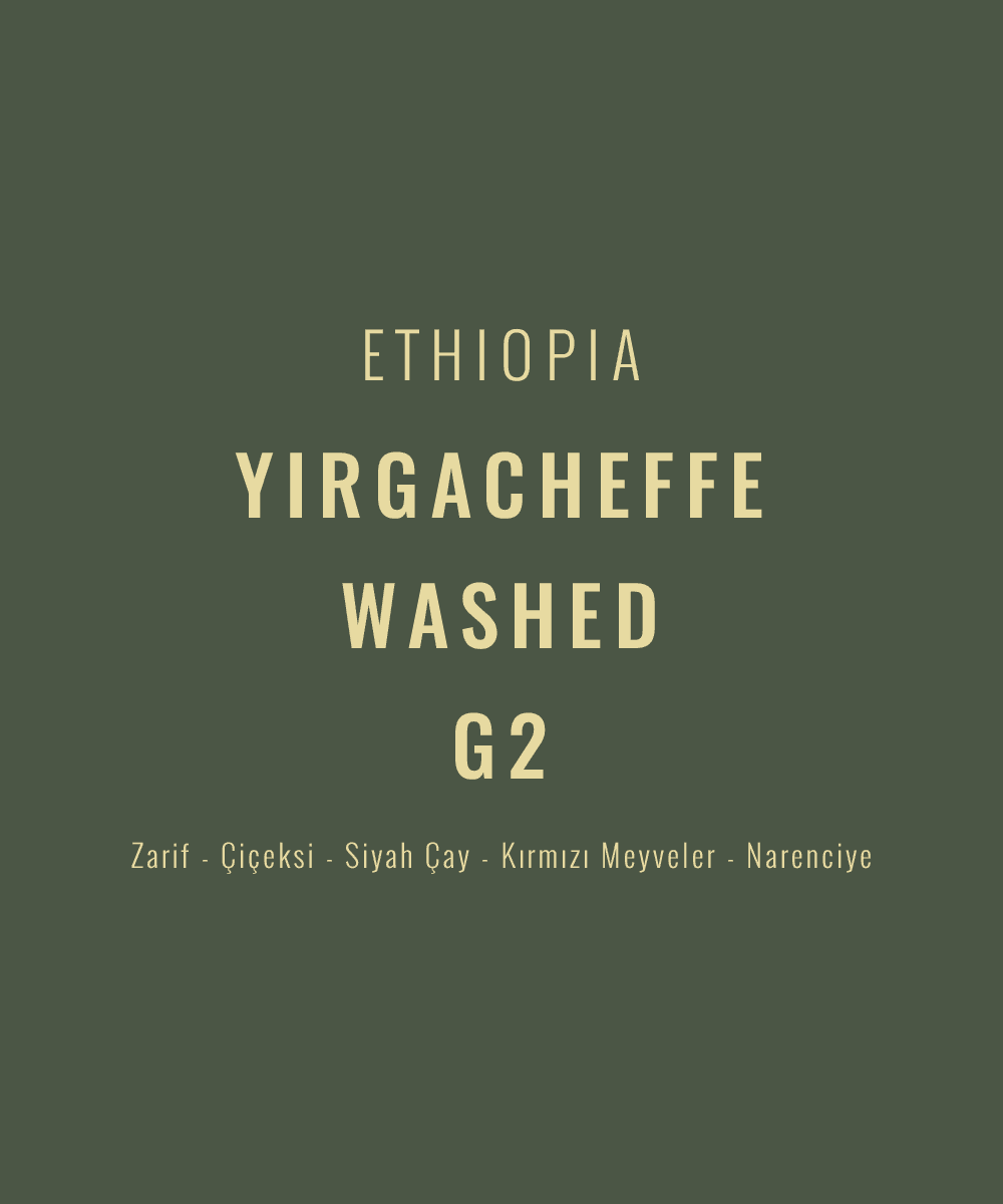 Ethiopia - Yirgacheffe Washed G2
