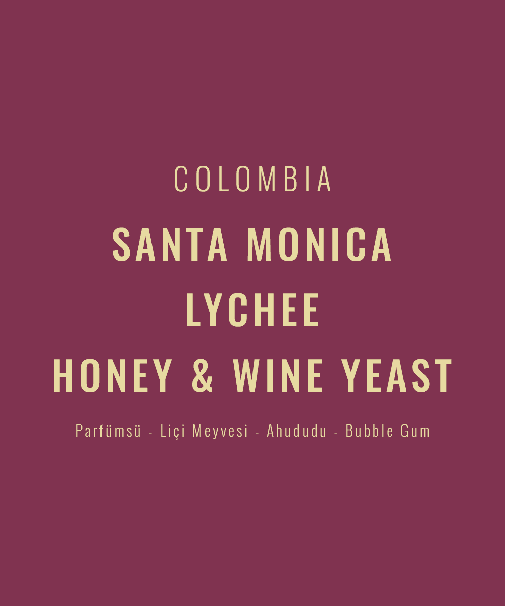 Colombia - Santa Monica Lychee Honey&Wine Yeast
