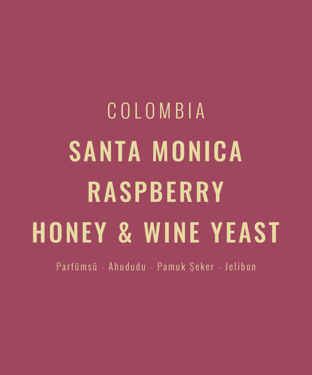 Colombia - Santa Monica Raspberry Honey&Wine Yeast