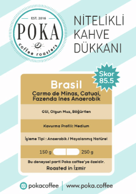 YENİ - BREZİLYA FAZENDA INES ANAEROBİK