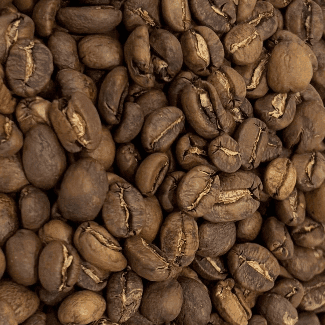 Roasted Arabica Java Coffee