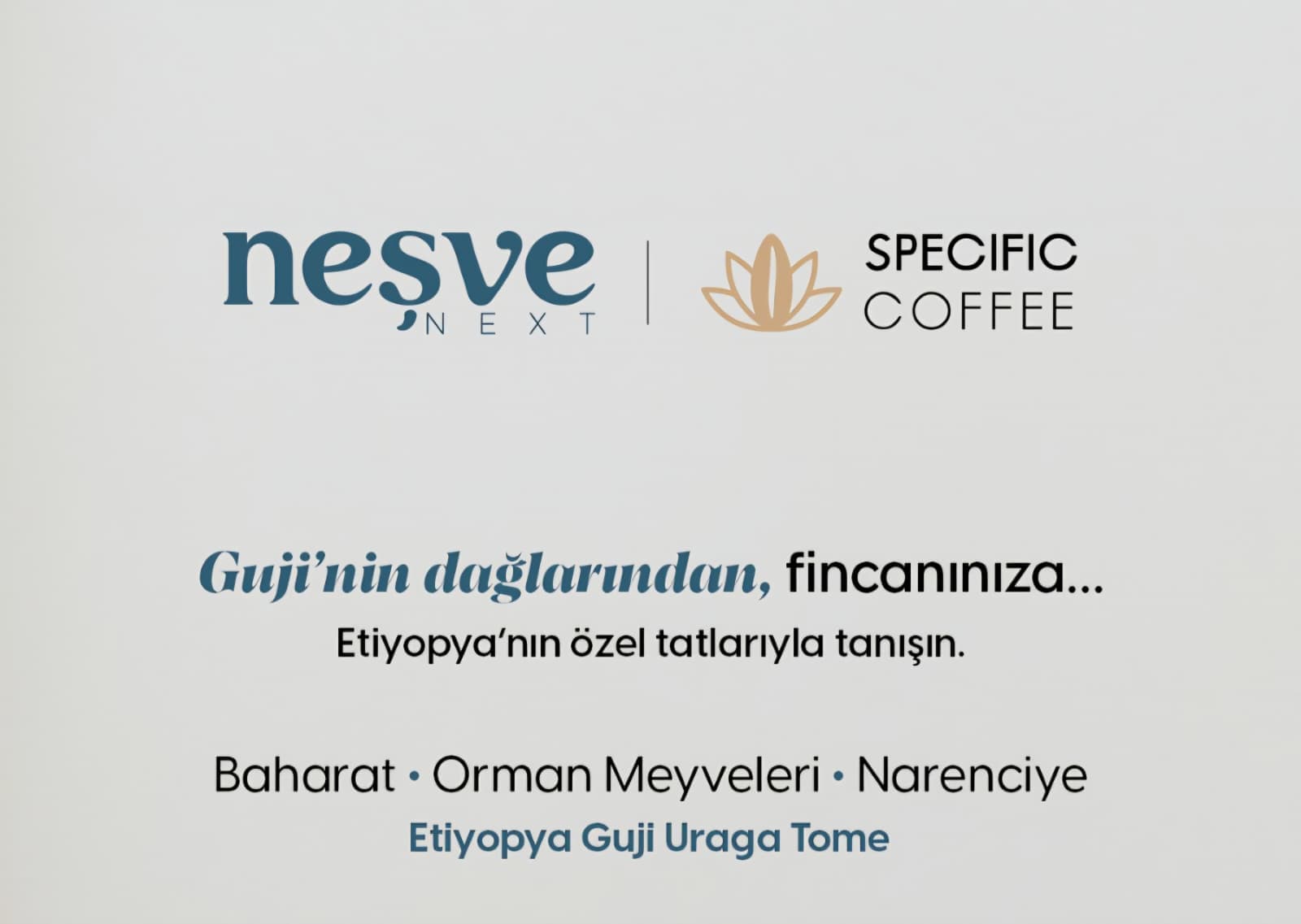 Etiyopya Guji Uraga Tome