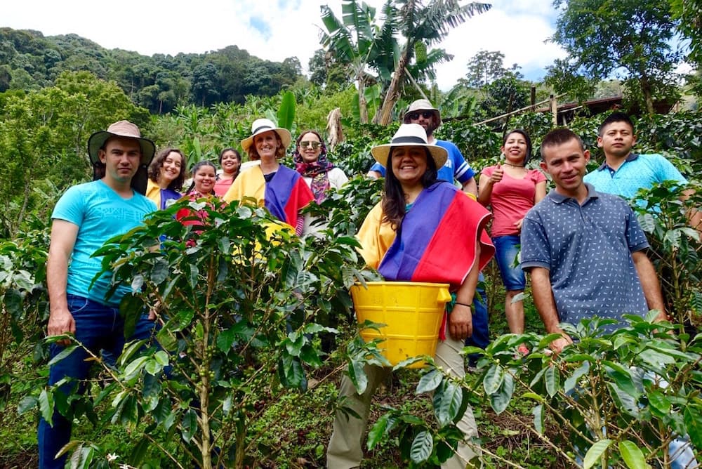 Milky Body Espresso Blend