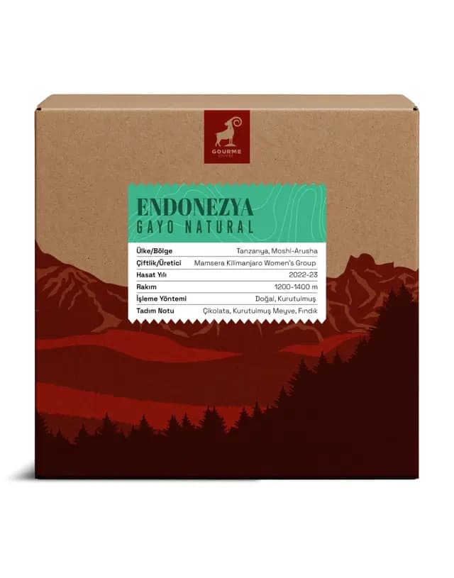 Endonezya Gayo Natural
