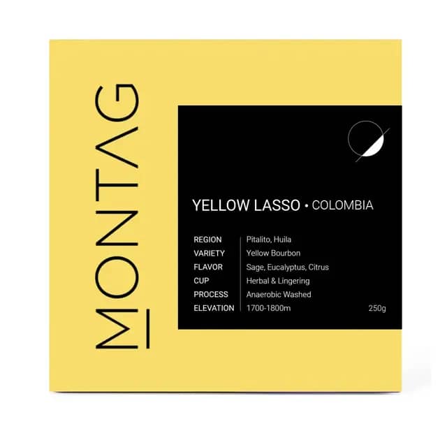 YELLOW LASSO