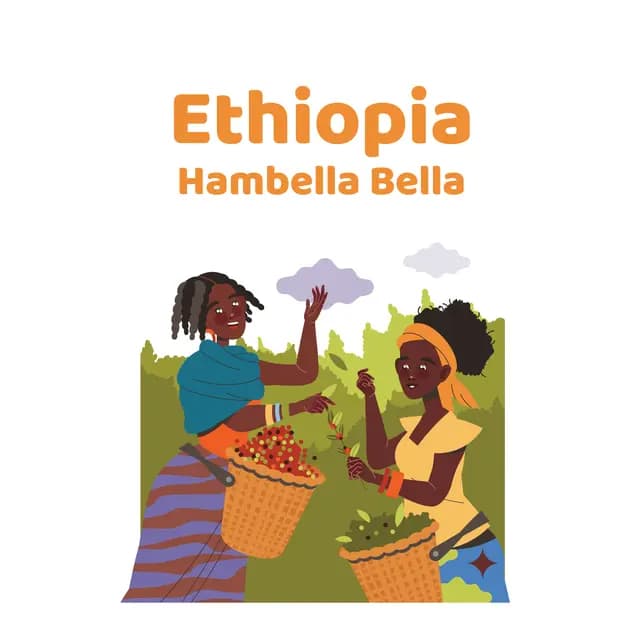 Ethiopia Hambella Bella
