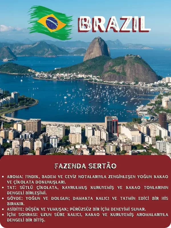 Brezilya Fazenda Sertão Single Origin Çekirdek Kahve (SO-BFS-CX)