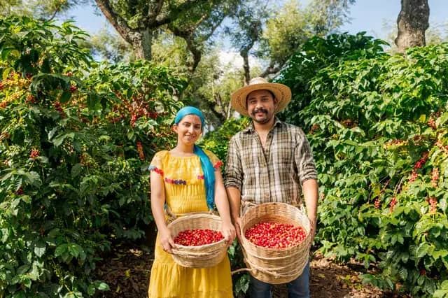 Colombia La Manuela (Espresso - Filtre)