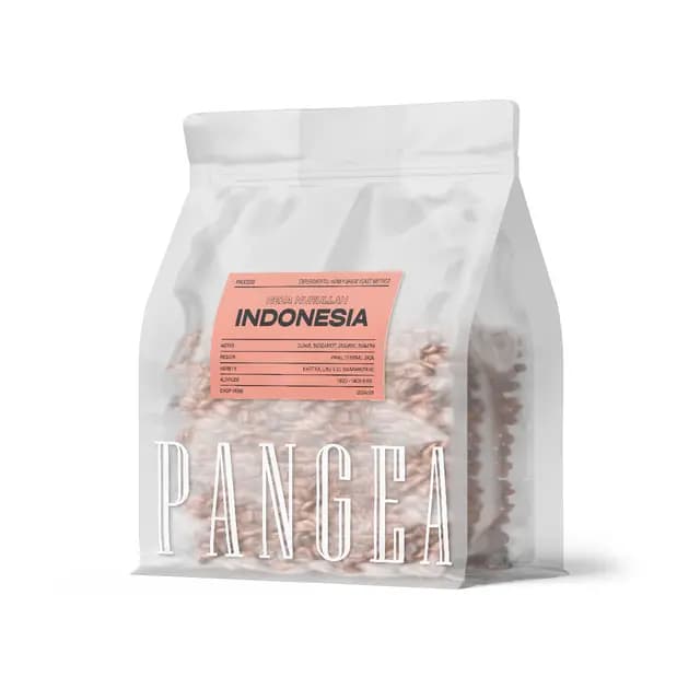 INDONESIA REZA NURULLAH