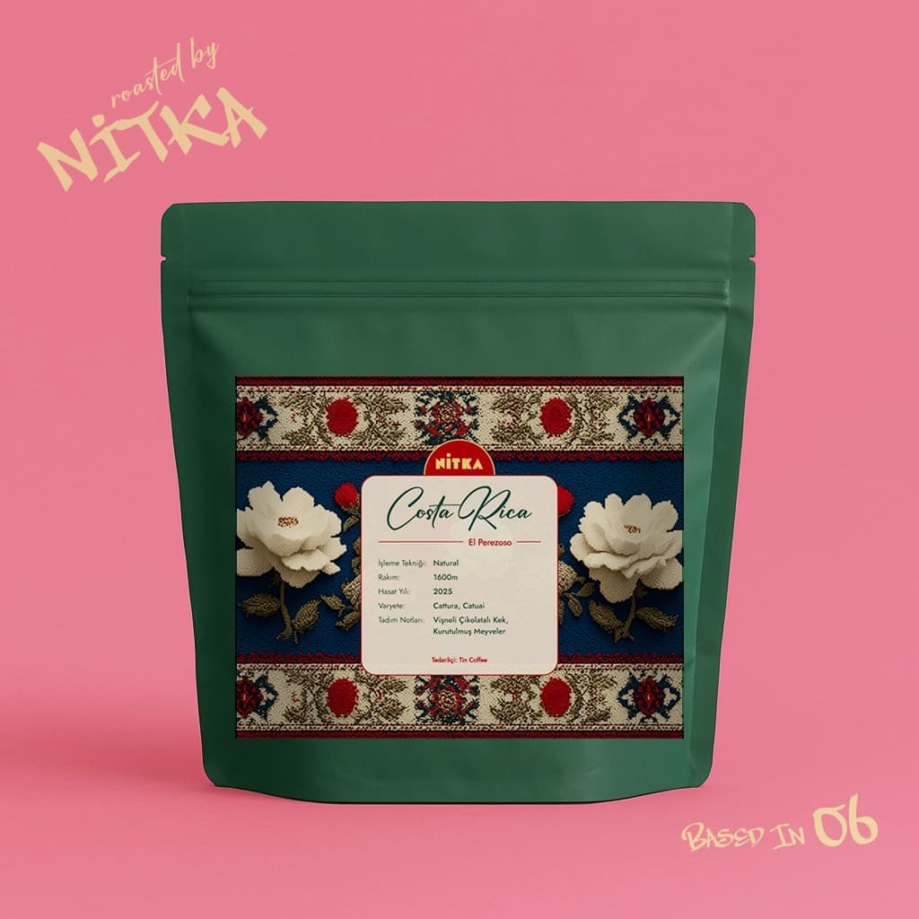 Costa Rica El Perezoso