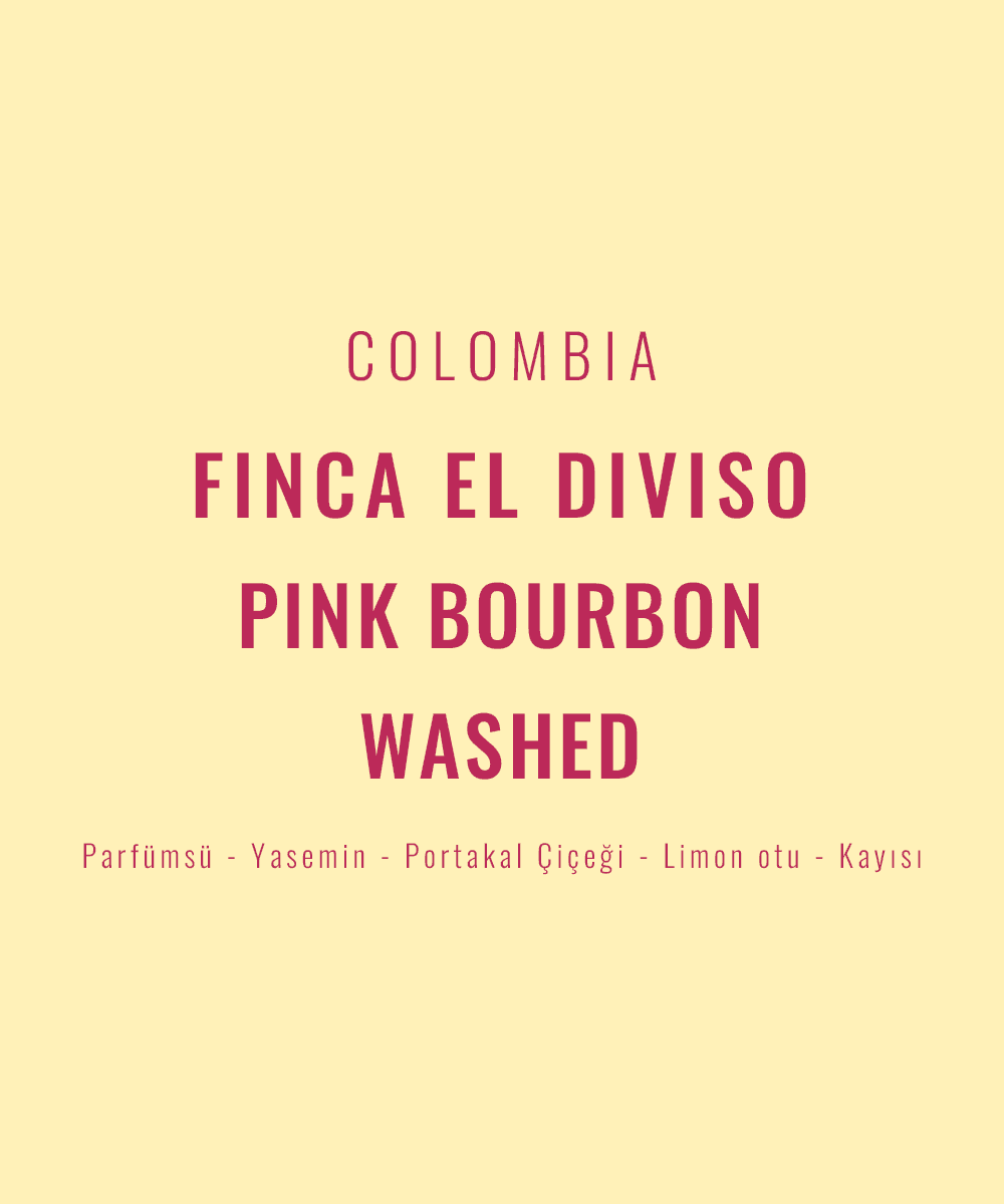 Colombia – Finca El Diviso Pink Bourbon Washed