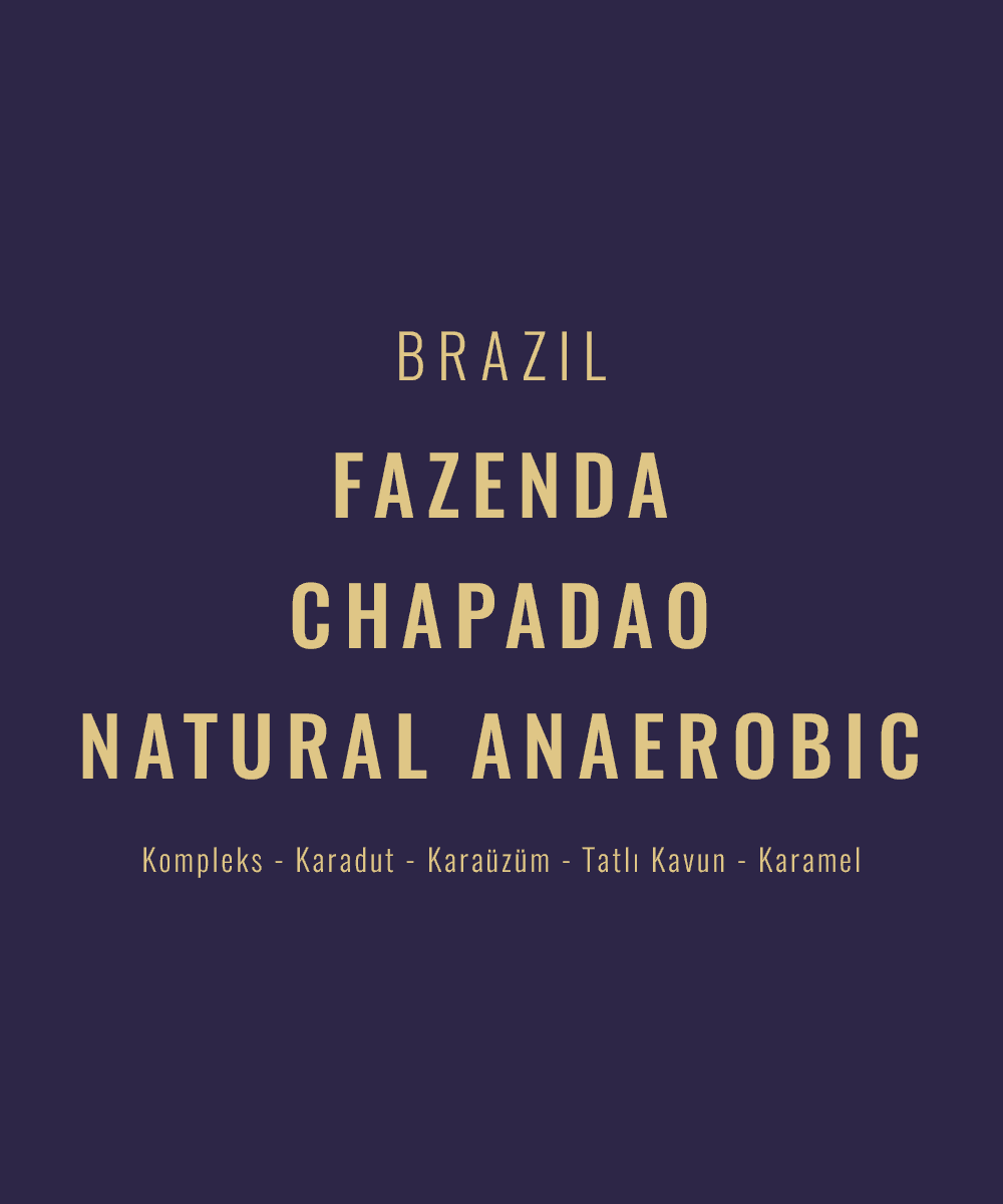 Brazil - Fazenda Chapadao Natural Anaerobic Topazio