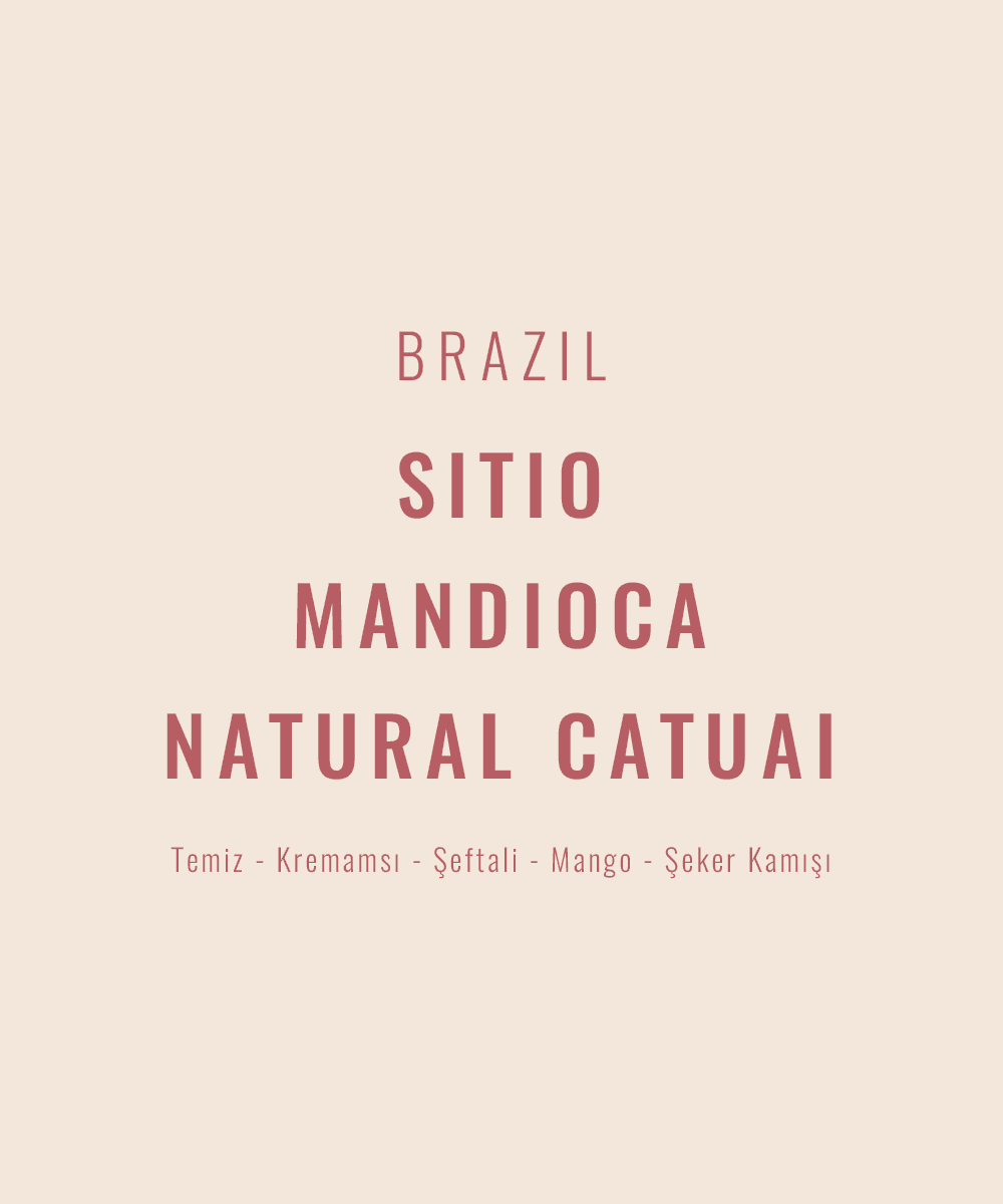 Brazil - Sitio Mandioca Natural Catuai