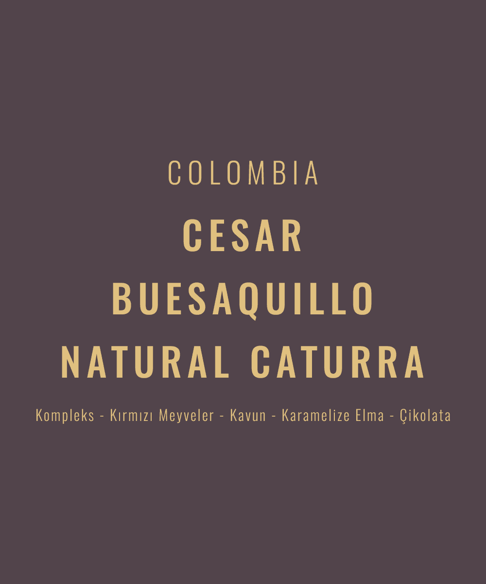 Colombia - Cesar Buesaquillo Natural Caturra