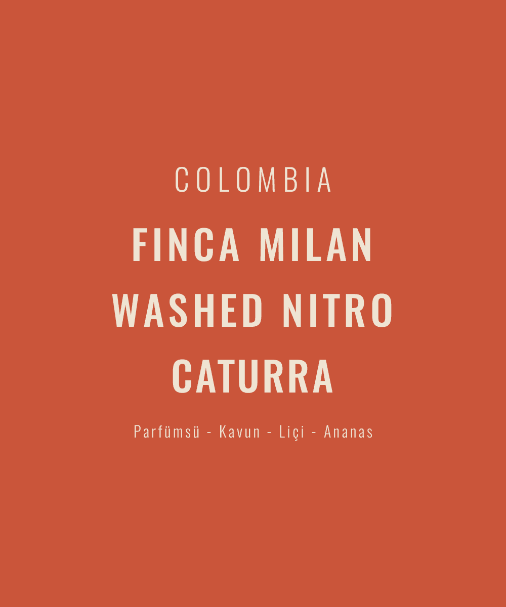Colombia - Finca Milan Washed Nitro Caturra