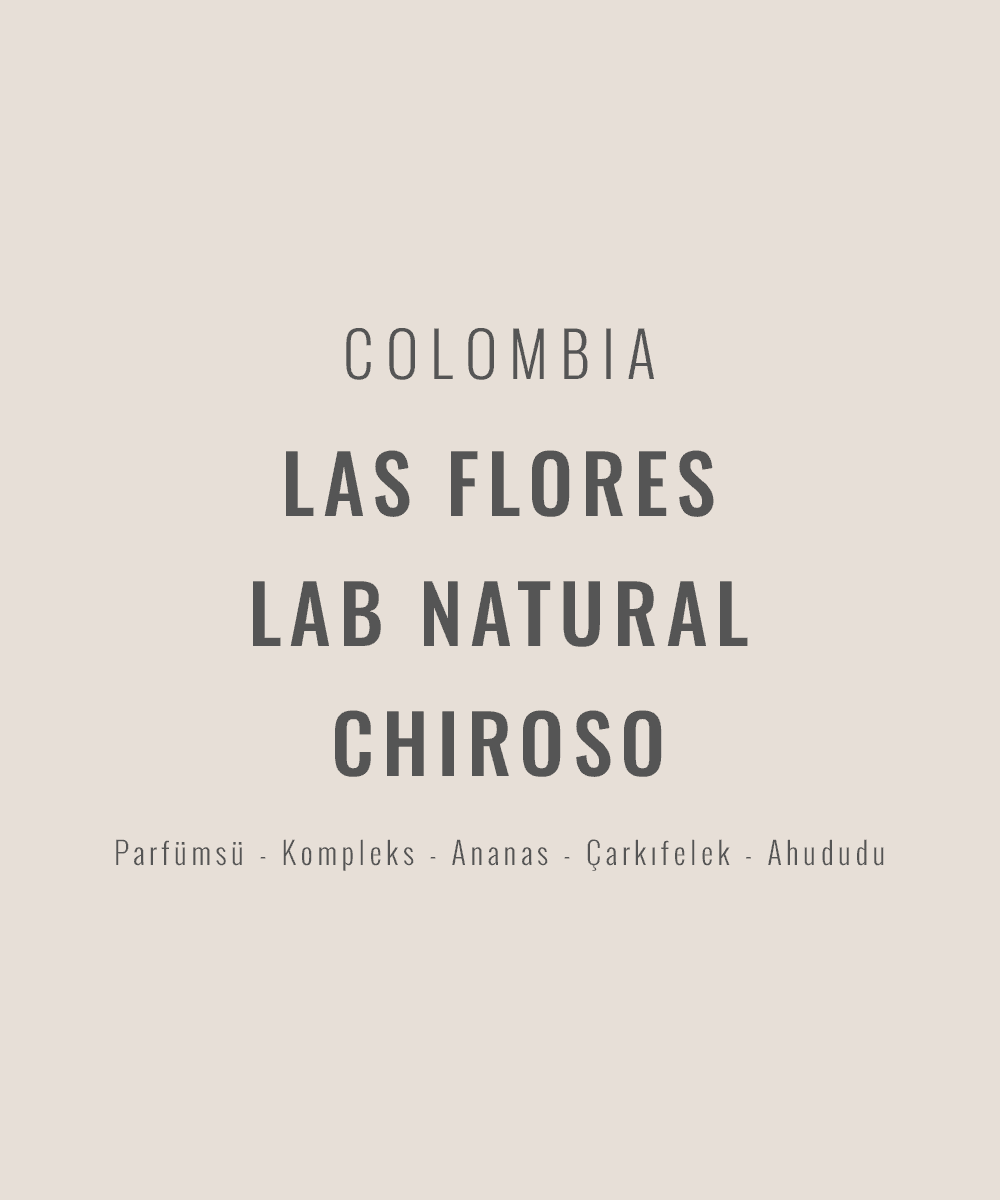 Colombia - Finca Las Flores Lab Natural Chiroso