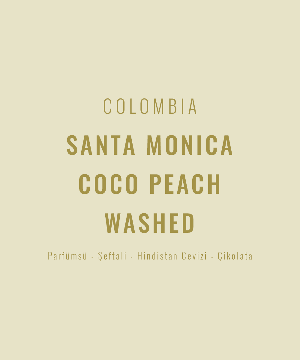 Colombia - Santa Monica Washed Coco Peach