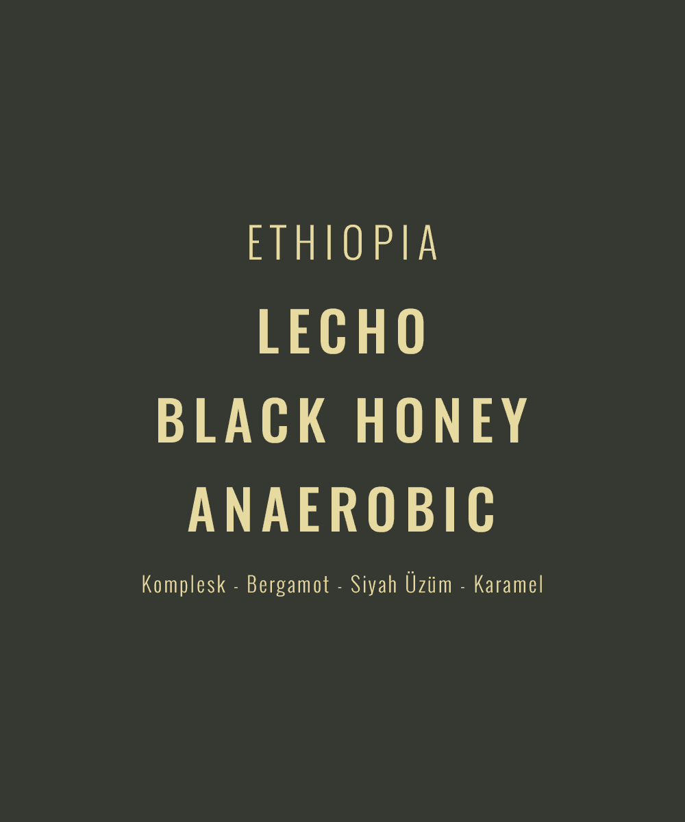 Ethiopia - Lecho Black Honey Anaerobic