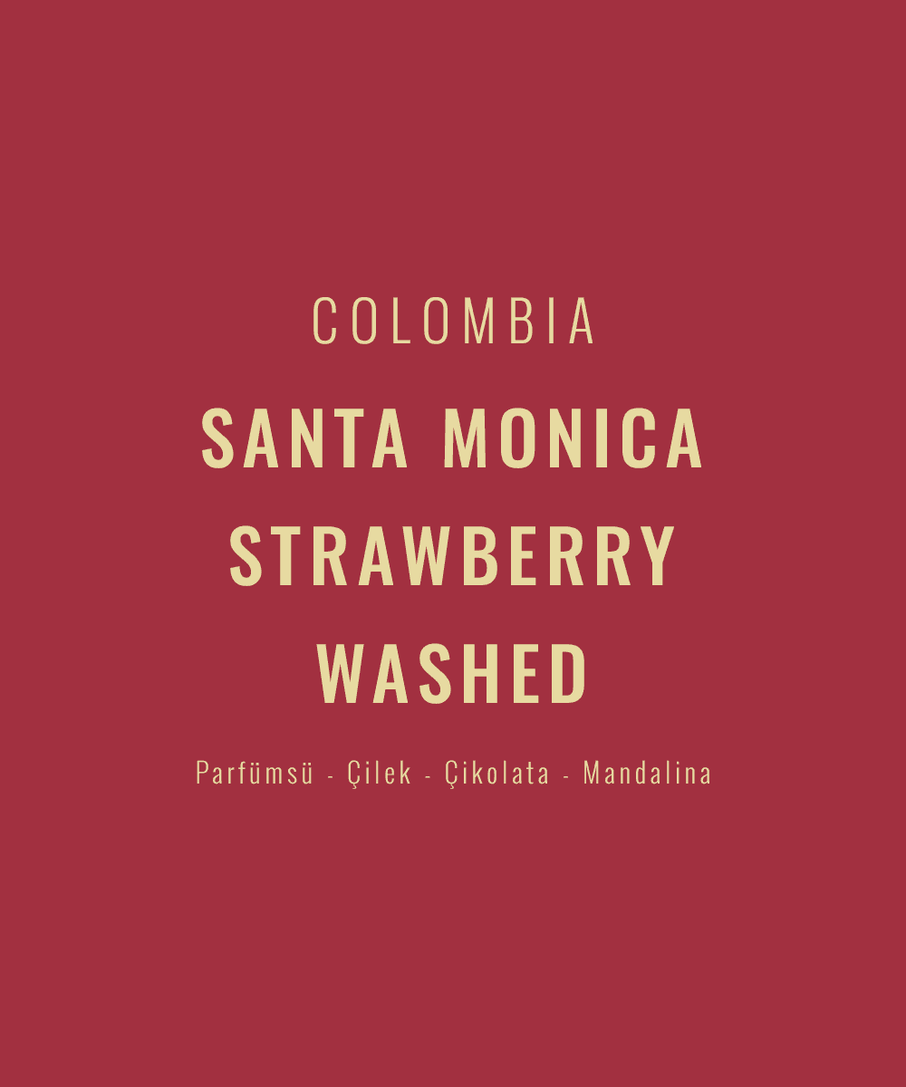Colombia - Santa Monica Strawberry Washed