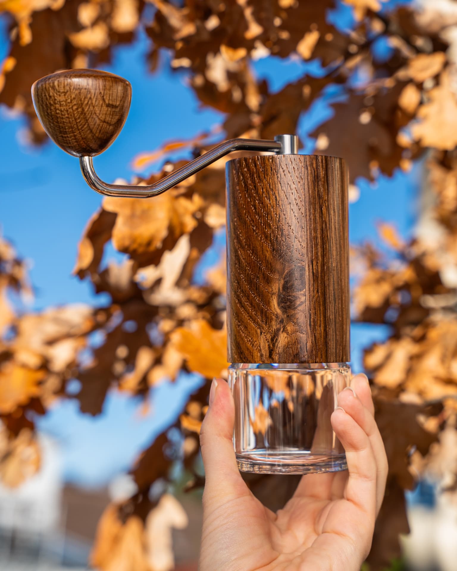 COMANDANTE C40 Nitro B. VINTAGE OAK ROYAL MK4